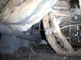 Starmark Home Inspections