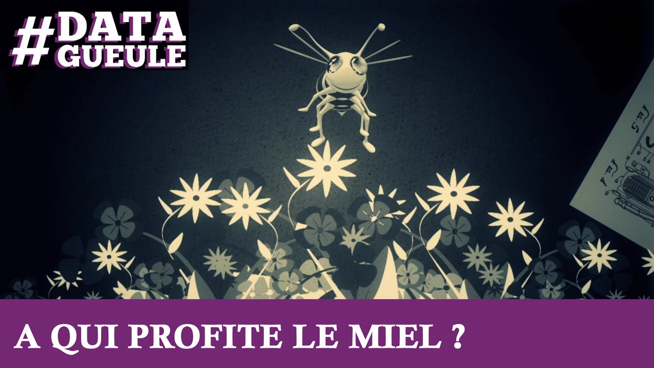 À qui profite le miel ? #DATAGUEULE 20