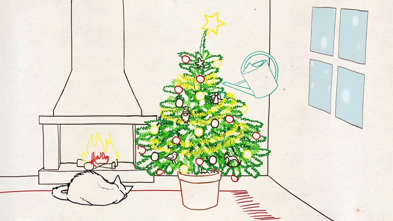 Les Experts - Questions Jardin : sapin de Noël