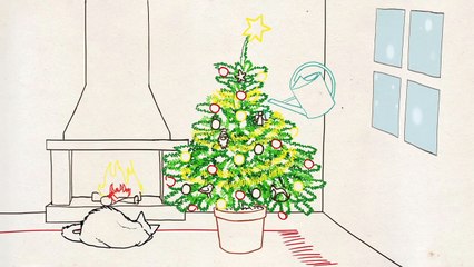 Les Experts - Questions Jardin : sapin de Noël