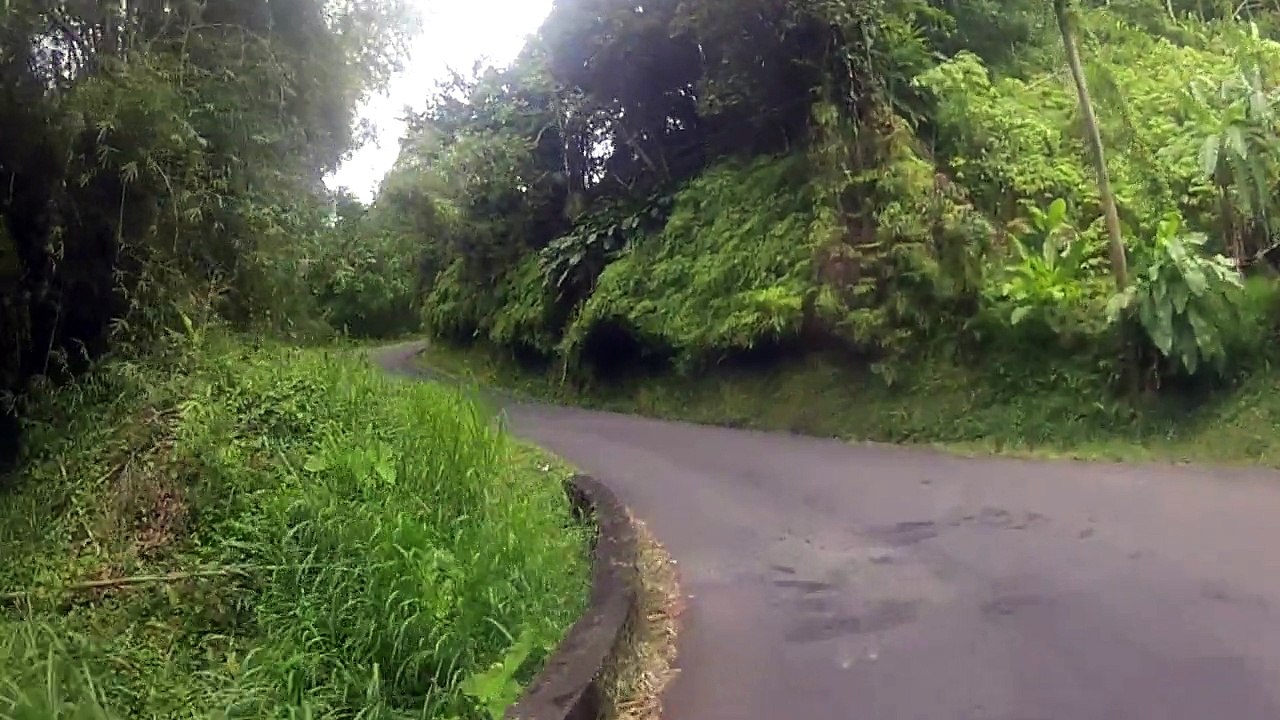 Grenade "balade en scooter en forêt" 3