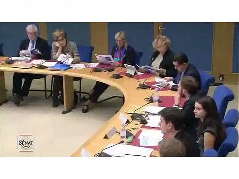 Jean-Marc Jancovici, Engager la France dans la transition énergétique , commission du Sénat des affaires économiques et commission du développement durable, Paris, 17 décembre 2014