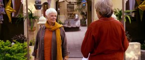 The Second Best Exotic Marigold Hotel (2015) - Streaming - HD