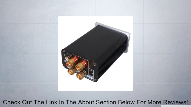 MUSE M50 EX Tripath TPA3123 Class T-Amp Mini Stereo Hifi Amplifier 50Wx2 with 4A Power Supply Review