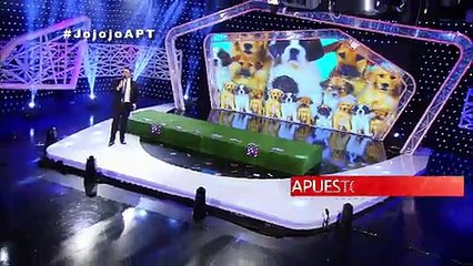 Apuesto por ti - Entre perros