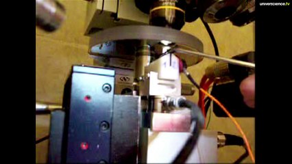 Chacun cherche son Son #20