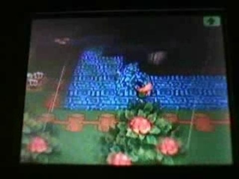 Ma ville sur Animal Crossing (première vidéo)