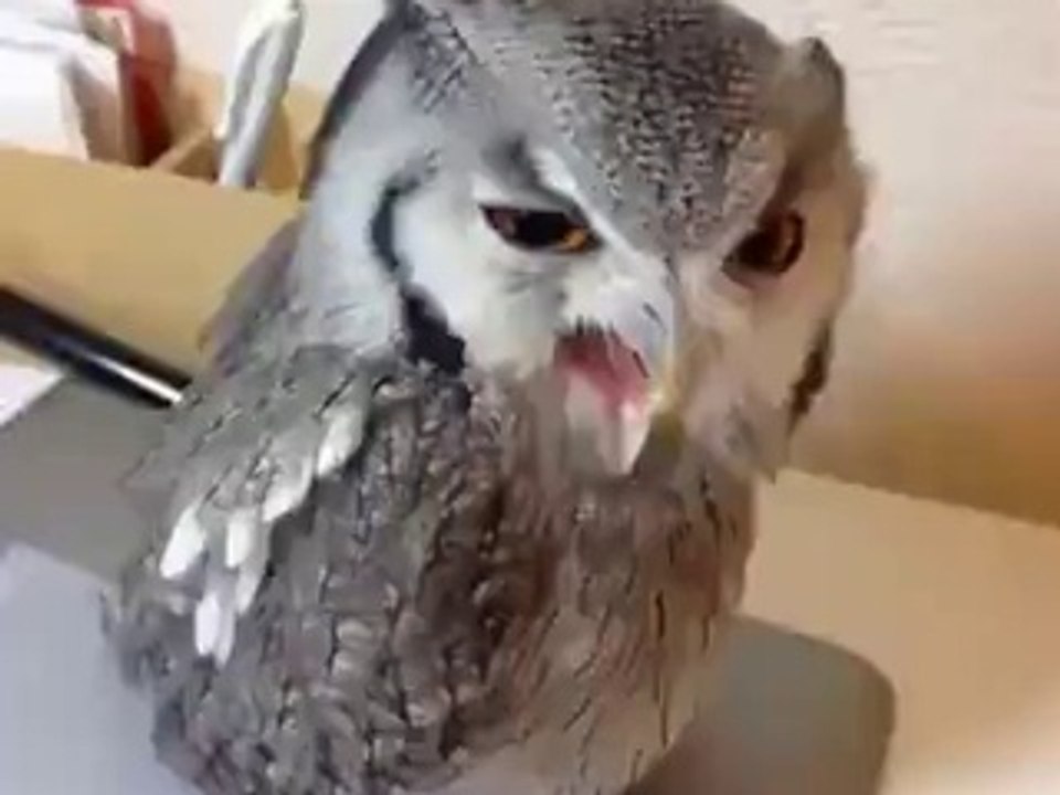 Trying to get attention :p