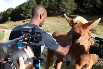 L'altra cara de la recuperació d'Abidal