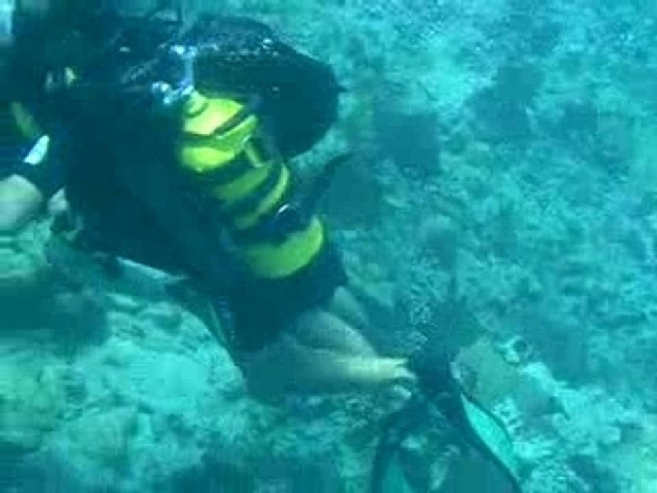 plongée de Marine