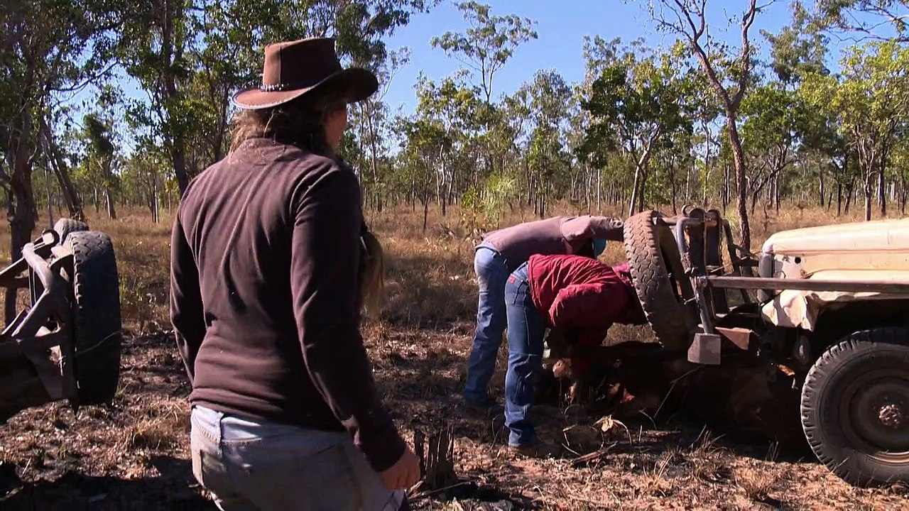 Extrait Wwoofing dans le bush australien
