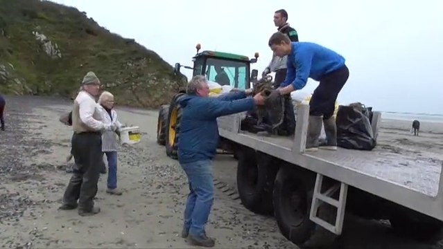 Nettoyage Raisonné de Noël Hillion