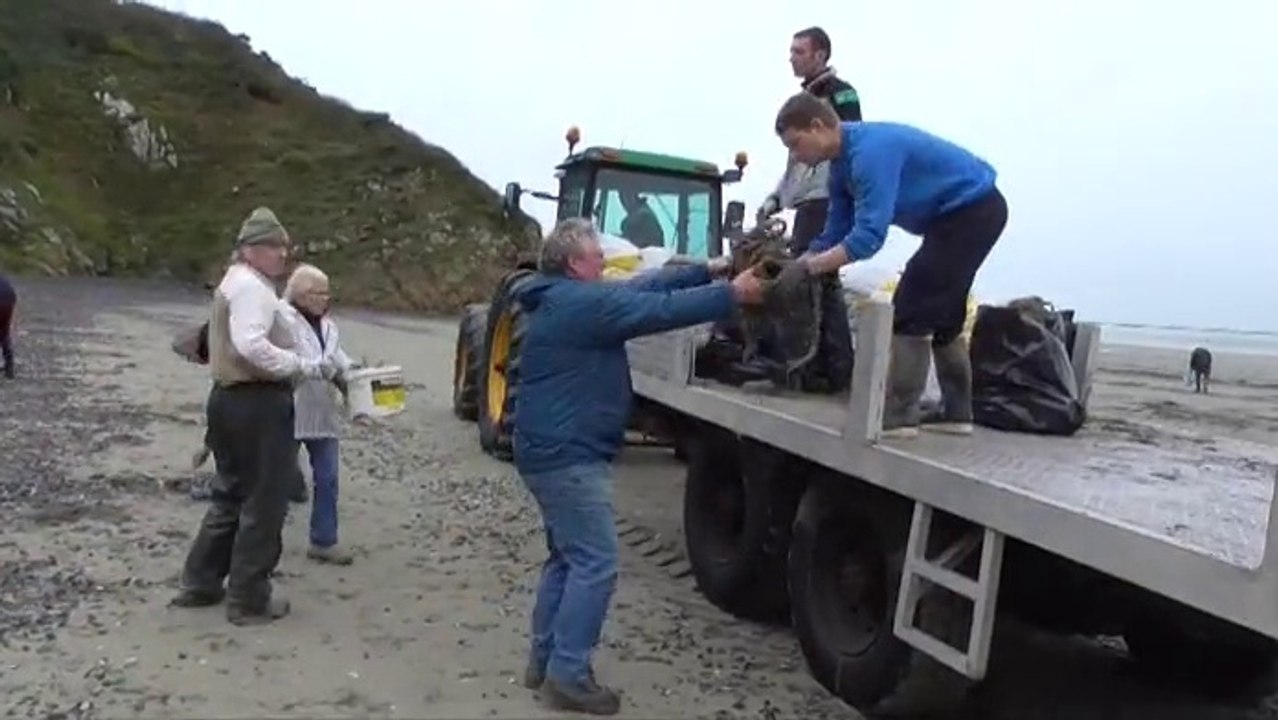 Nettoyage Raisonné de Noël Hillion