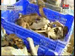 Yenikapı Kazıları ve Üsküdar kazıları