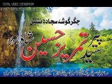 Uras BaBa Syed Manzoor Hussain Shah (2014 part 2 Qawal arif feroz)  (2)