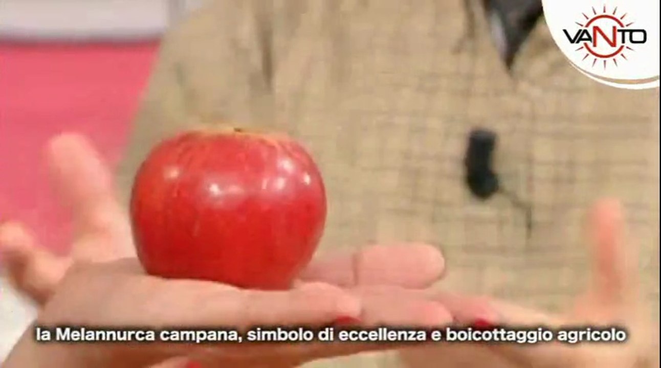 Melannurca campana, simbolo di eccellenza e di boicottaggio