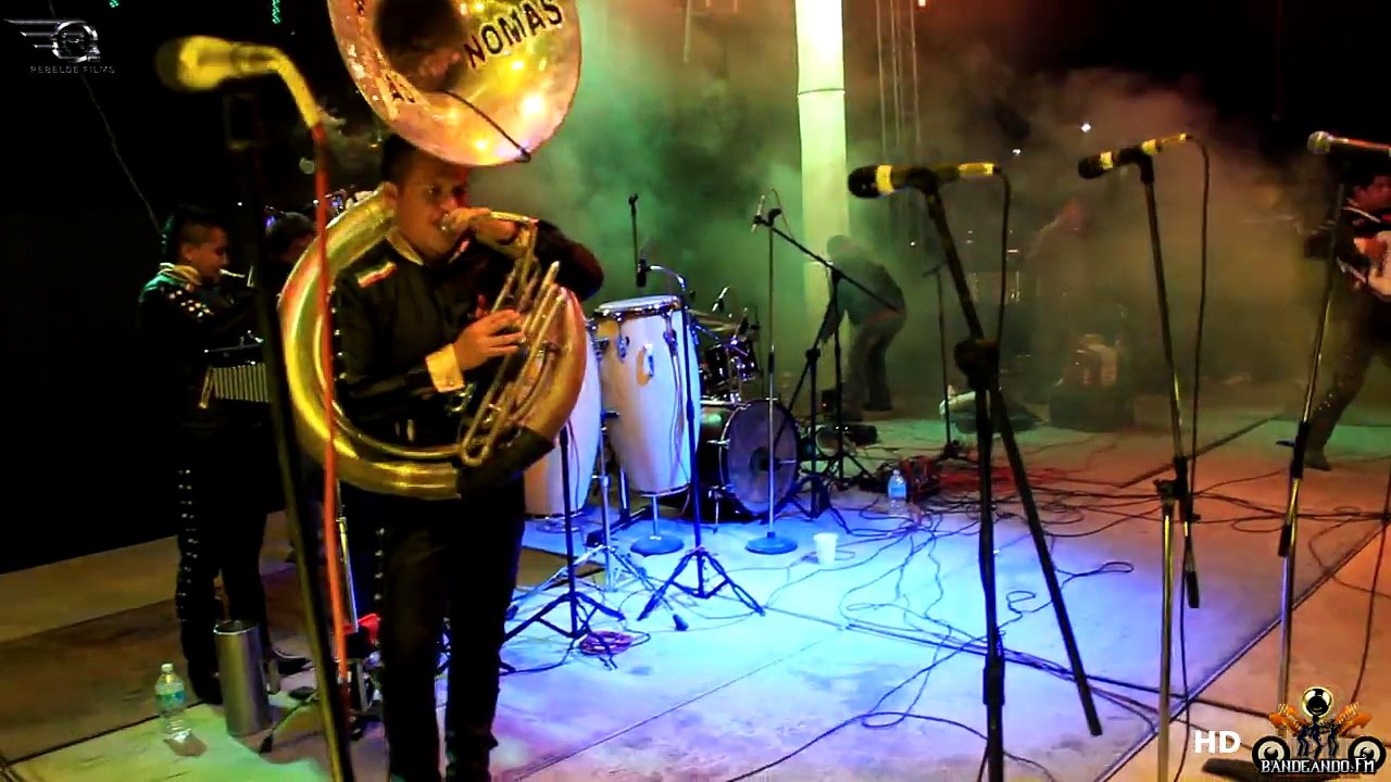 Los Jefes Norteño Banda " TRAGOS DE AMARGO LICOR "