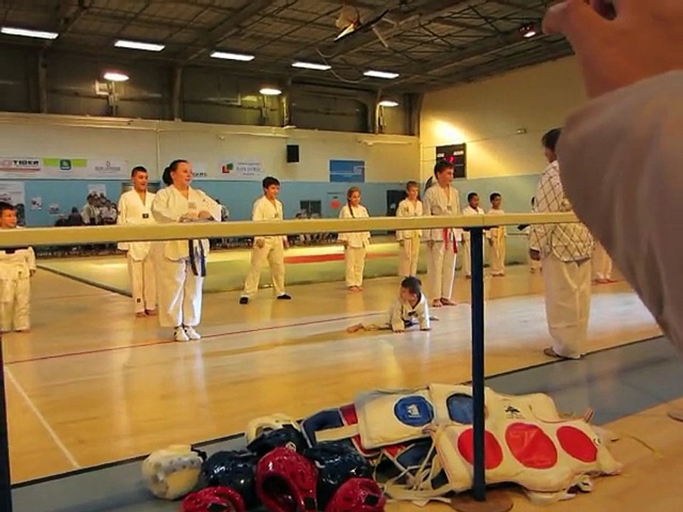 Téléthon  5 décembre 2014 démo taekwondo