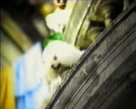 köpeği yangından kurtaran kaleci!