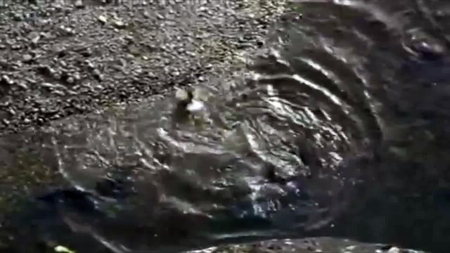 생중계바카라주소●œ☆：☆œ●WDCT77.COM●œ☆：☆œ●생중계바카라주소