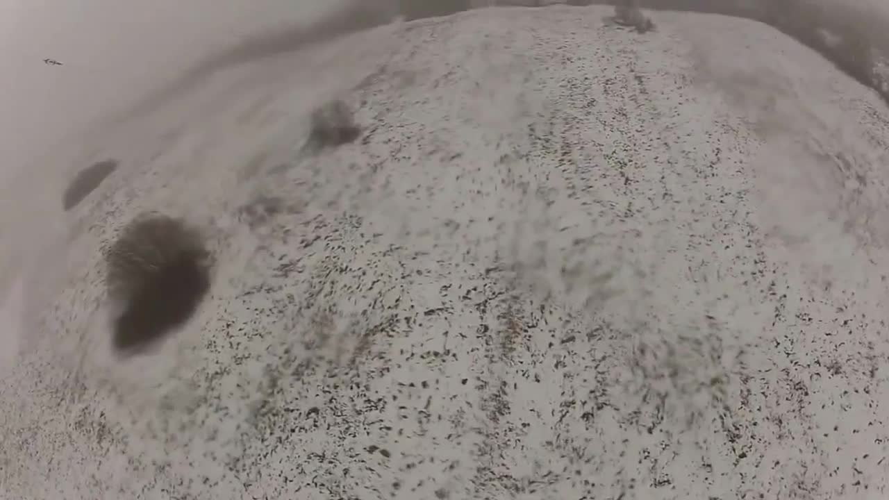 BASE jumper leaps into the unknown