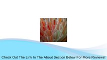 140 Count EXTRA WIDE Fat Drinking Straw 9