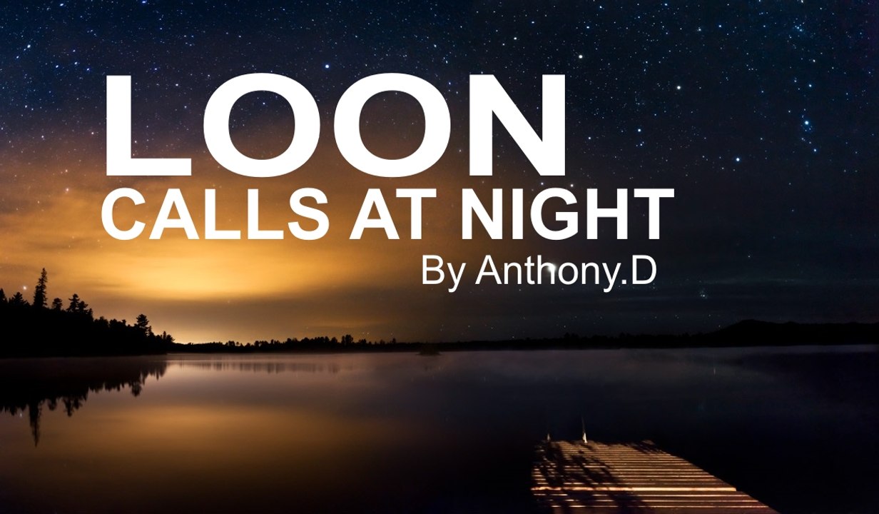 (OFFICIAL VIDEO) LOON CALLS AT NIGHT / COMMON LOON VOICES