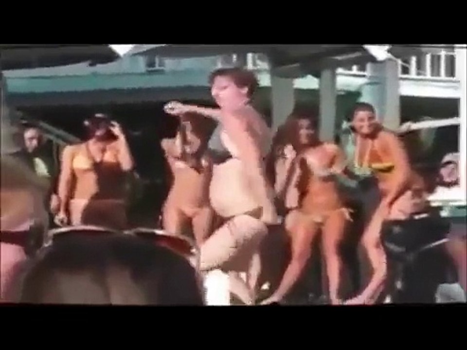 Dödelhaie - Scheiss Politik!