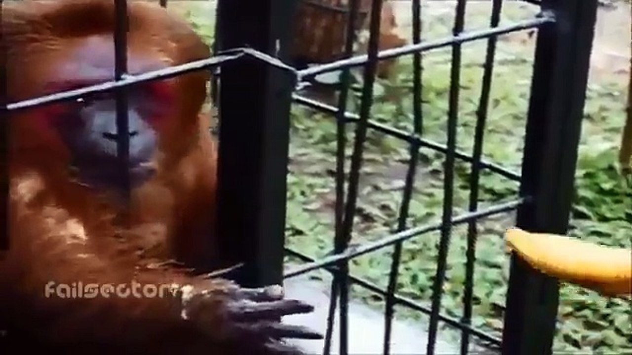 Ultra Epic Fails funny 2013