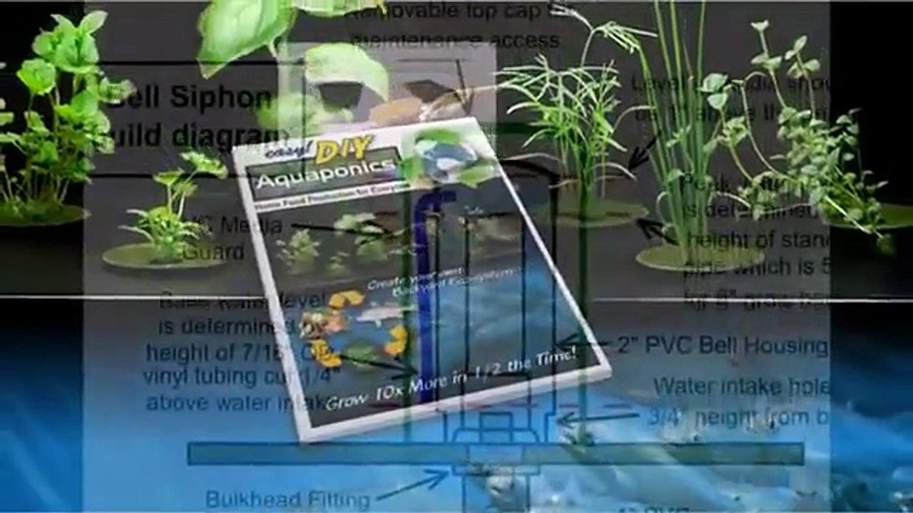 Aquaponics Systems - Easy DIY Aquaponics System