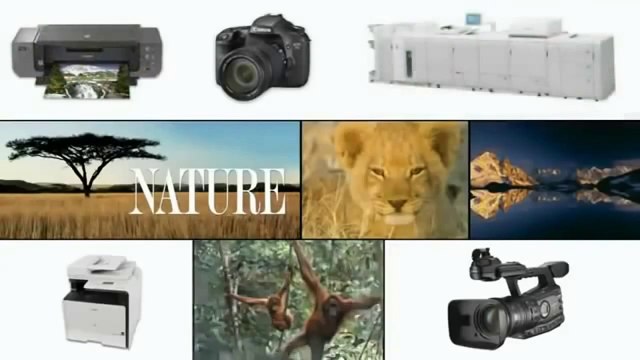 Radioactive Wolves Of Chernobyl Scary Mutations [Full Documentary]