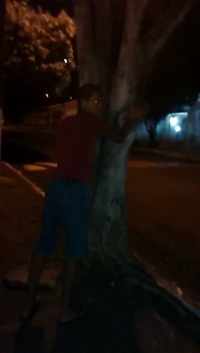 vai venu