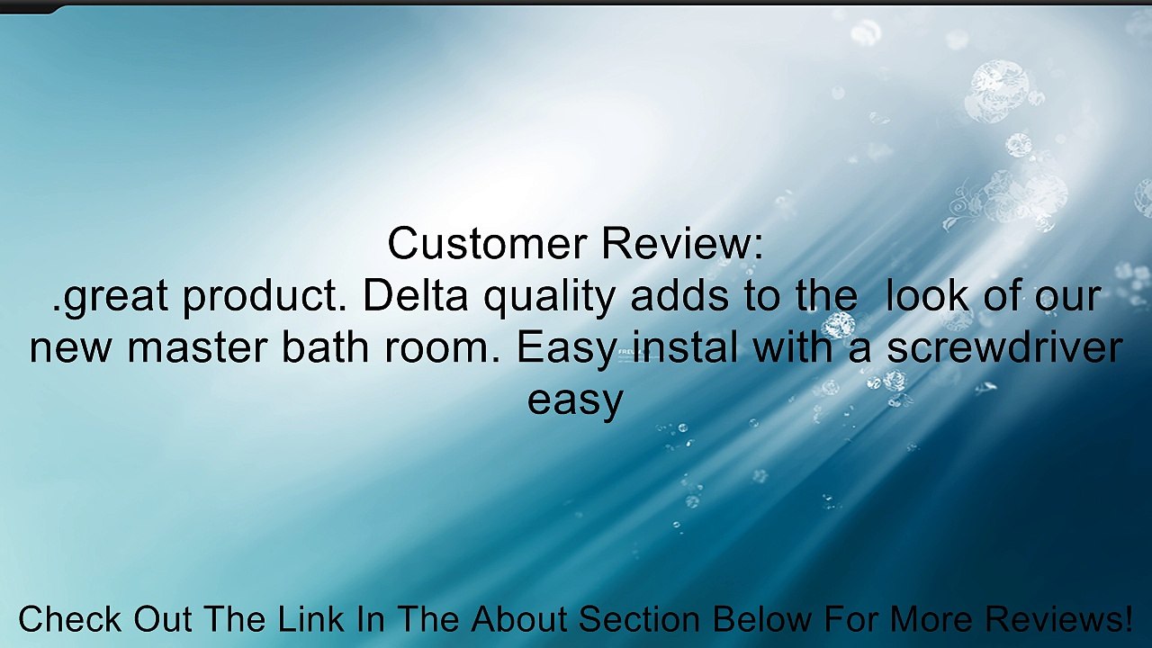 Delta Trinsic Single Robe Hook Review
