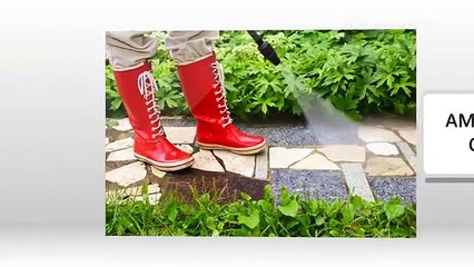 Safe and Effective Pest Control in Stuart FL