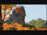 [Japanese Version] Sokcho Inspiring - Visual Tour of Sokcho, Korea