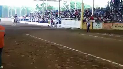 HOrse scating in olympics