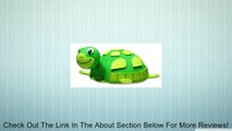 Sea Turtle Antenna Topper / Antenna Ball Review