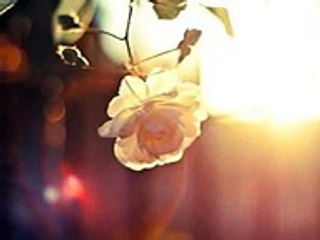 ان شاء الله ماهر زين بدون موسيقي - YouTube