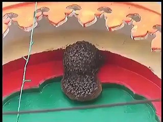 shehd ki makhyoon ney naqshay pai rasool s.a.w bna dia subhanallah watch n share