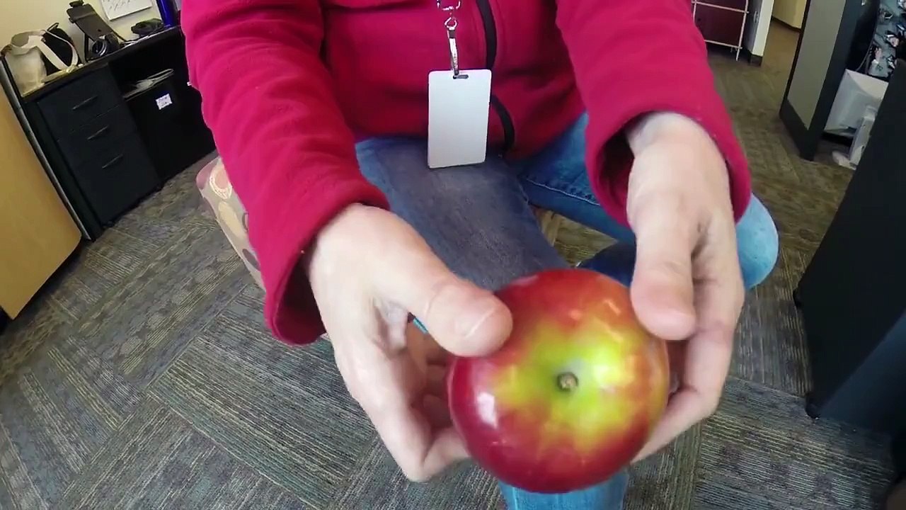 learn how to cutt an apple without knife