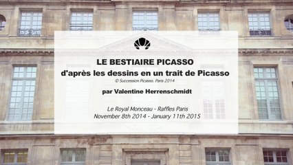 L'interview de Valentine Herrenschmidt au Musée Picasso