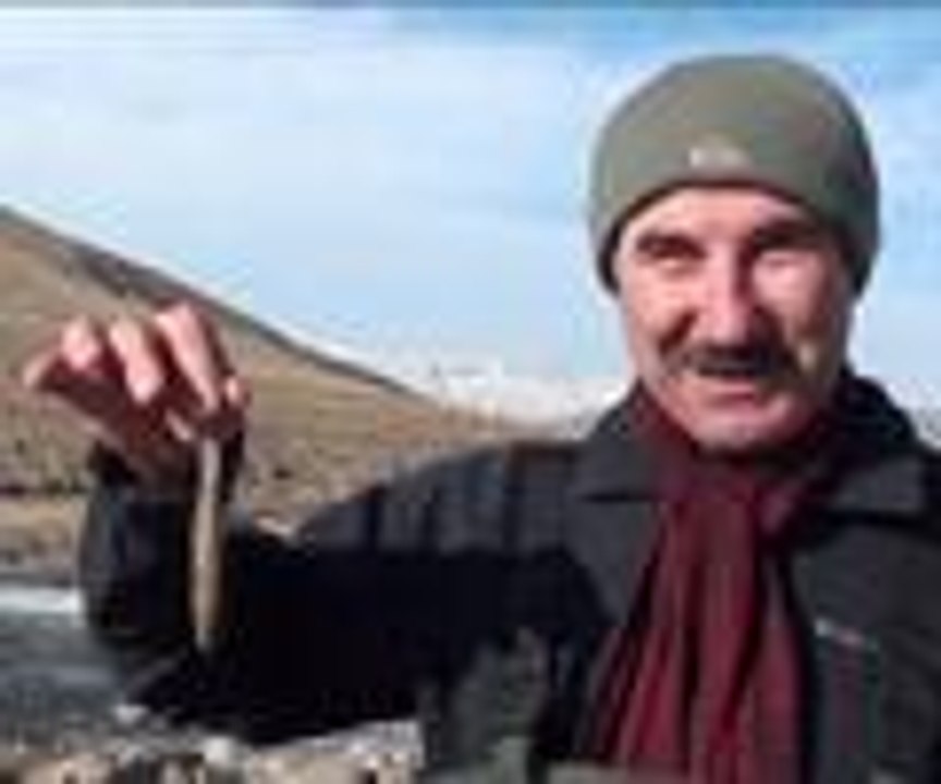 Dünyada sadece Erciş'te yaşıyor
