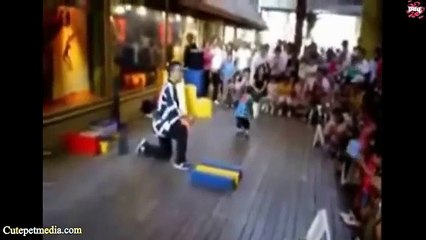 Most Funny Monkey Videos 2014