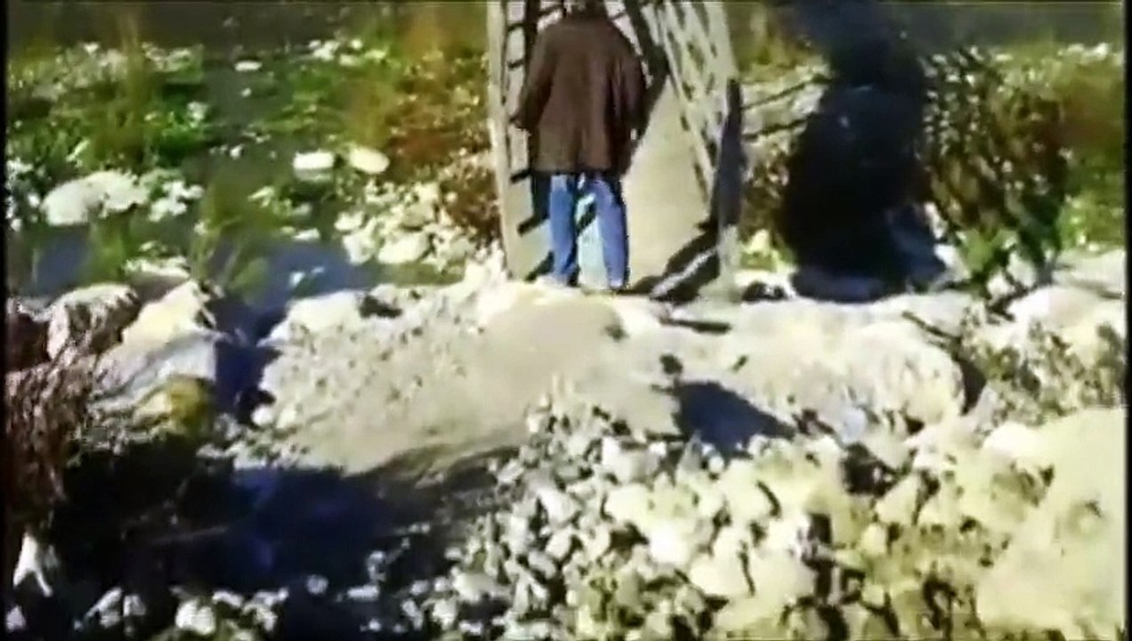 kapıldım gidiyorum