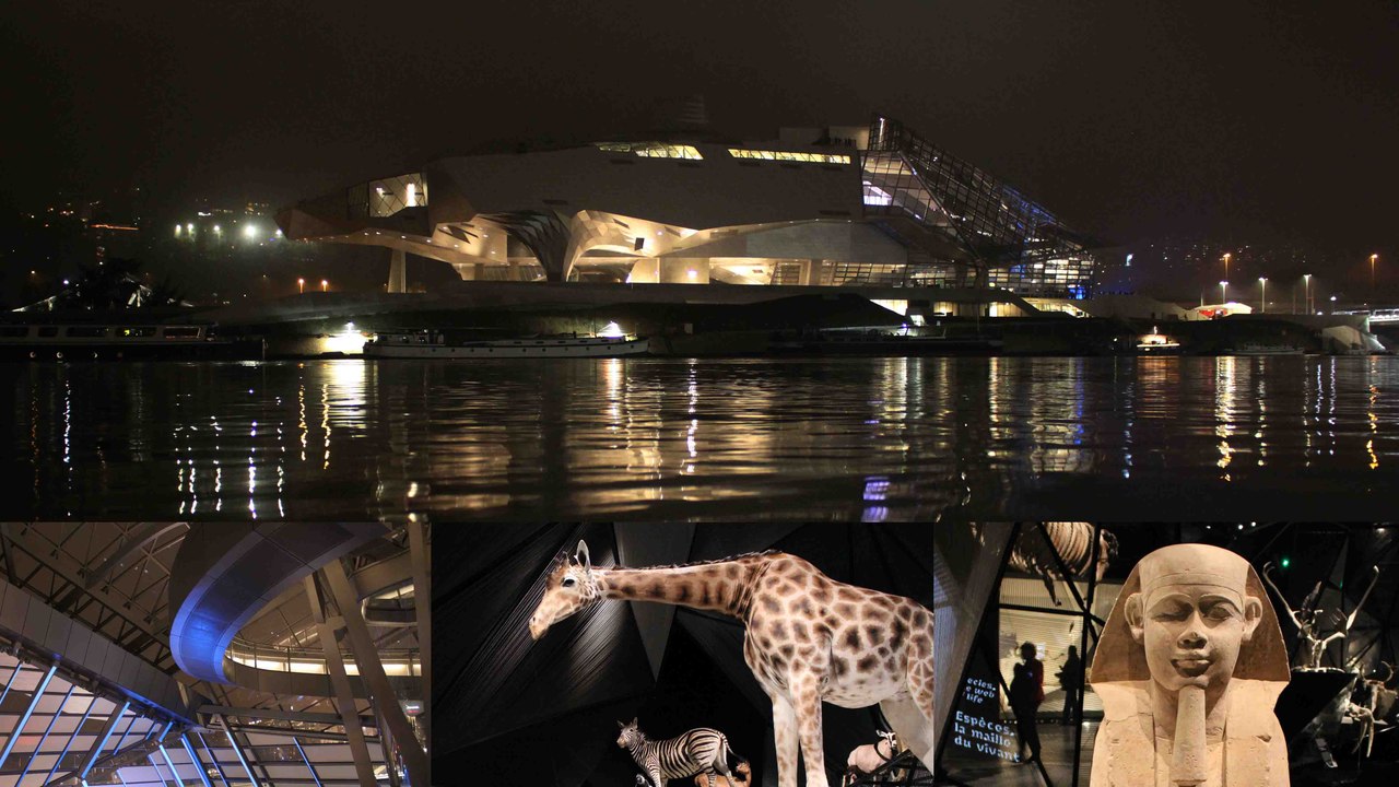 Inauguration du Musée des Confluences de Lyon