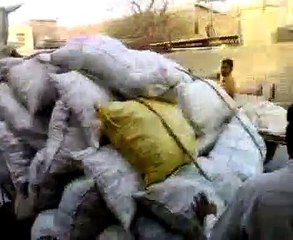 Donkey with heavy cart load ends up in the air