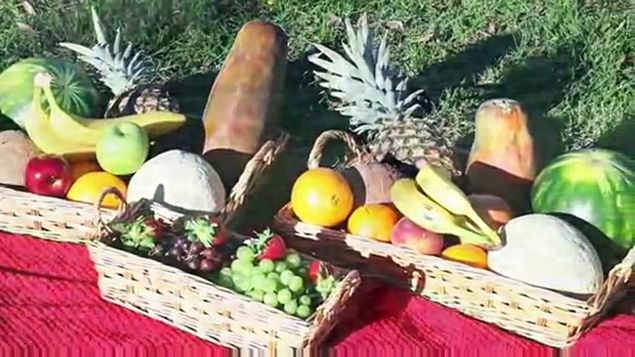 magez-des-fruits