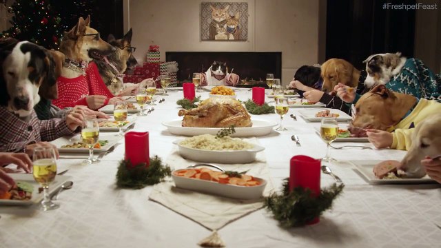 Un repas de Noël avec 13 Chien et 1 Chat !!