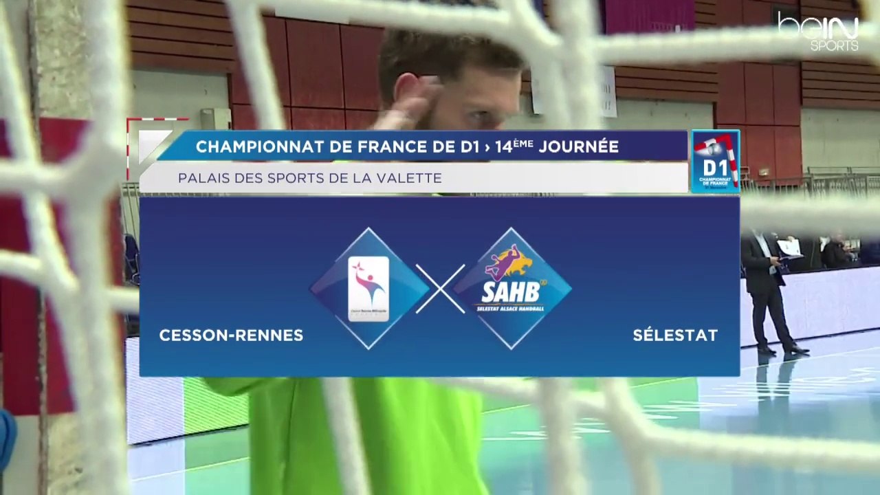 LNH D1 2014-2015 J14 CESSON RENNES SELESTAT