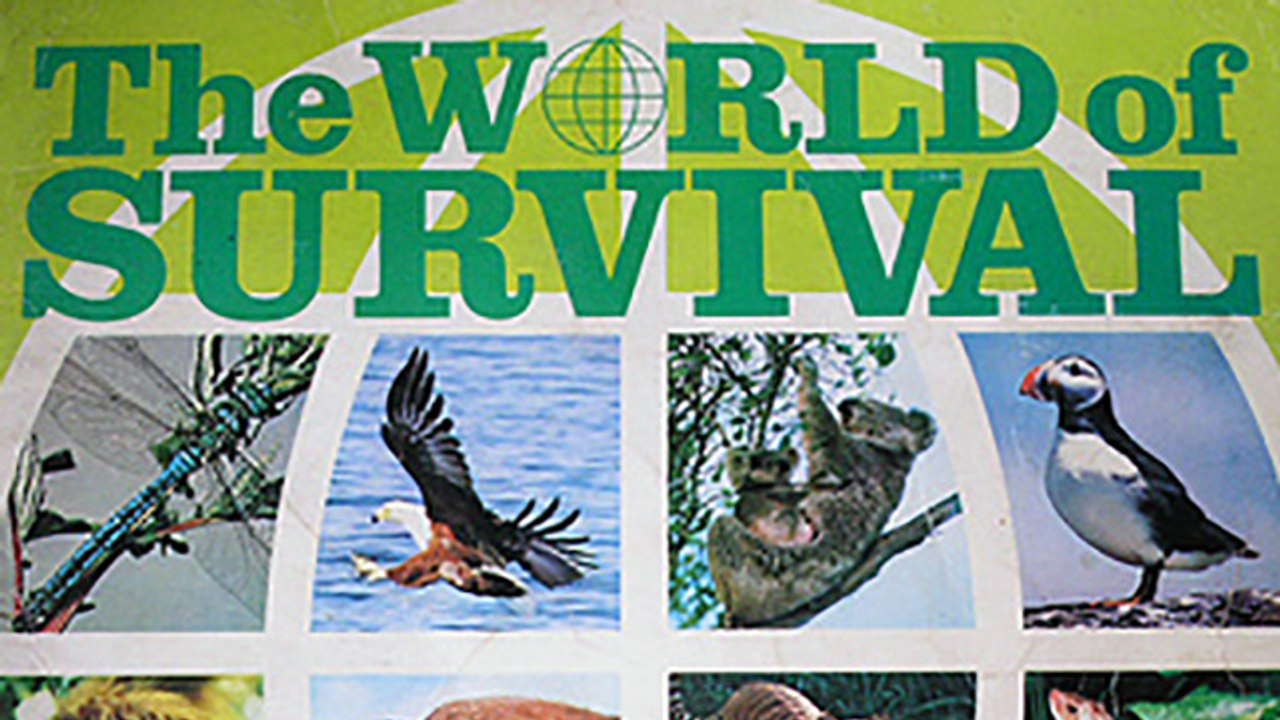 OPSTANAK - Zečje muke - THE WORLD OF SURVIVAL